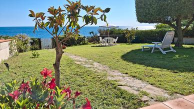 Direttamente sul mare di Acciaroli, Cilento