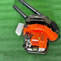 SOFFIATORE A SPALLA CON MOTORE A SCOPPIO 