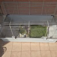 gabbia per animali