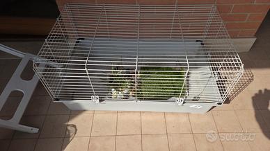 gabbia per animali