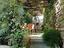 Immagine 12
