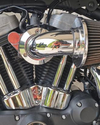 Harley-Davidson Sportster forty eight 1200 - 2016