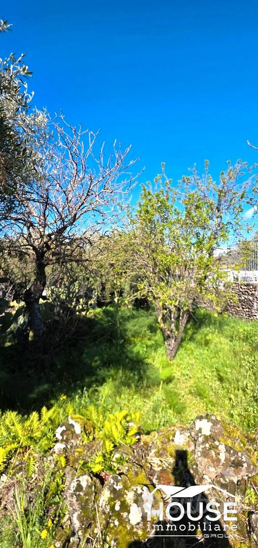 RAGALNA TERRENO AGRICOLO - Altro