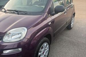 Fiat Panda 1.2 Natural Power Easy Metano - Bombole