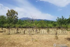 Terreno agricolo pianeggiante a Piedimonte Etneo