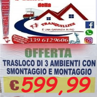 Trasloghi & Montaggio