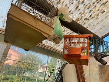 Casette e gabbie  per uccellini