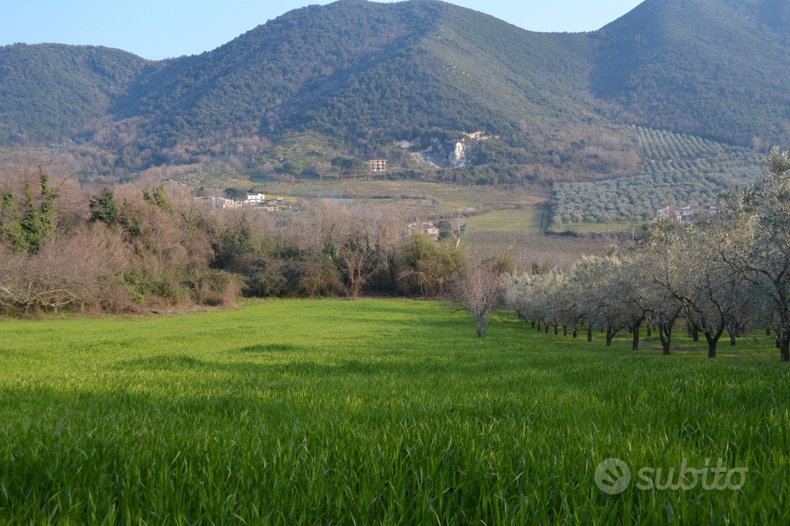 Terreni e rudere in Sessa Aurunca - Vista 4