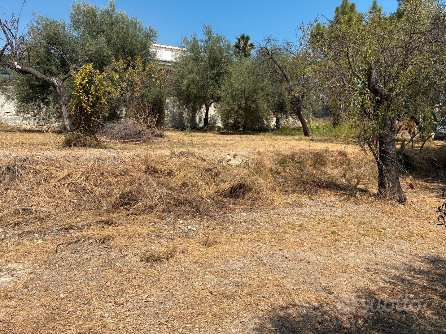 Terreno agricolo in contrada Chiusa di Carlo - Vista 3