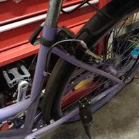 Bicicletta donna