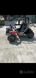 Buggy pgo 150