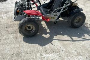 Buggy pgo 150