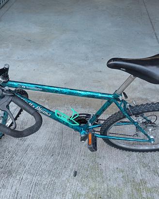 Mountain bike 