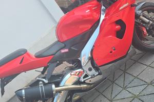 Aprilia rsv1000