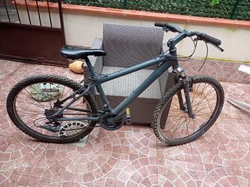 Mountain Bike 241" Telaio e Cerchi alluminio