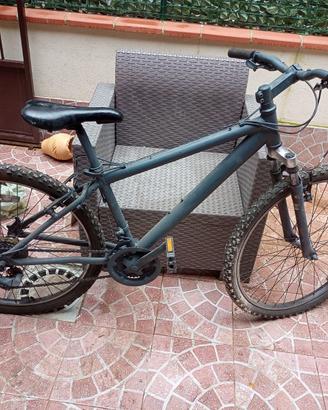 Mountain Bike 241" Telaio e Cerchi alluminio