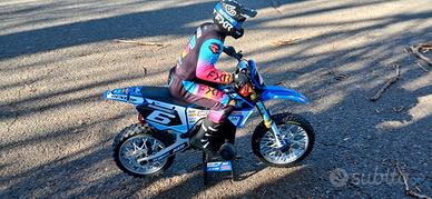 Moto losi promoto 1/4