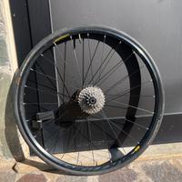 Ruote Mavic aksium disc