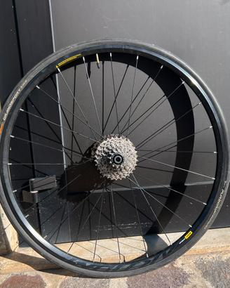 Ruote Mavic aksium disc