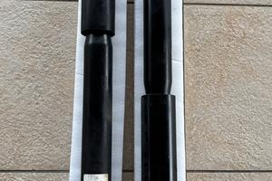 Ammortizzatori posteriori originali Sprinter AWD