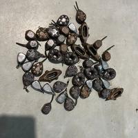 Lotto 45 piombi carpfidhing in line e con girella