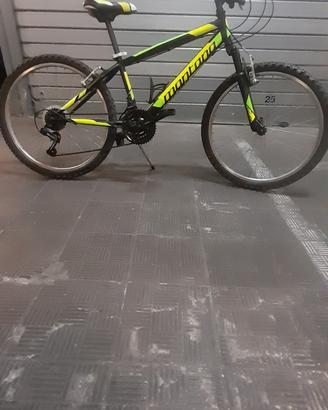 ntb 24