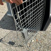 Trasportino cani grandi