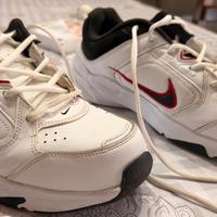 Sneakers Nike “Defyallday”