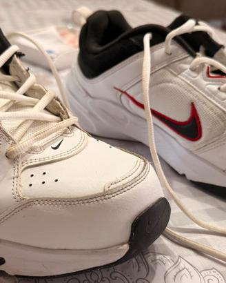 Sneakers Nike “Defyallday”