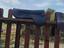 Immagine 5