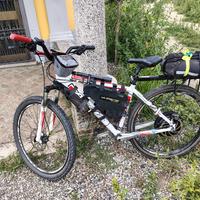 MTB elettrica 