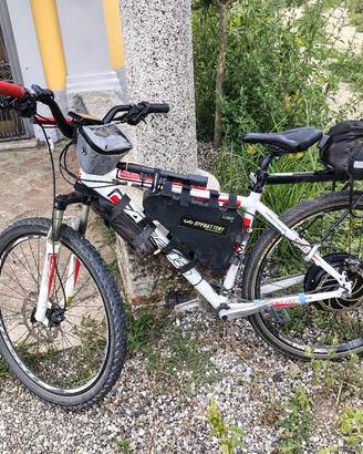 MTB elettrica 