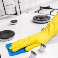 Collaboratrice domestica