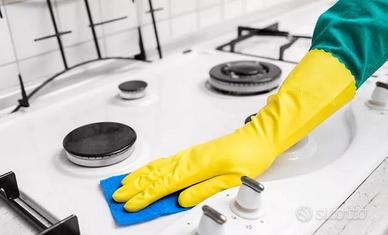 Collaboratrice domestica