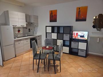 Monolocale nuovo arredato via Galeotti- San Donato