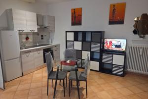 Monolocale nuovo arredato via Galeotti- San Donato