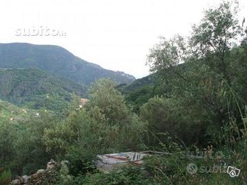 Moneglia collina 4km