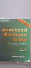 advanced grammar in use - Martin Hewings