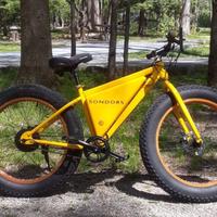 Bici elettrica Sondors