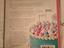 Immagine 6