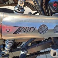 SCARICO ZARD OMOLOGATO TRIUMPH SCRAMBLER