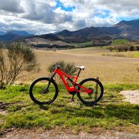 specialized turbo levo 