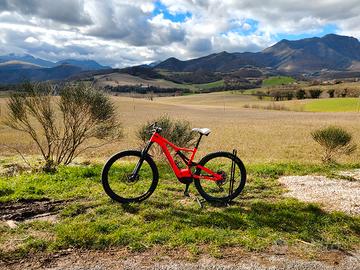 specialized turbo levo 