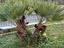 Immagine 5