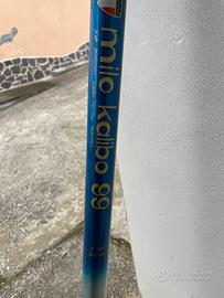 Canna telescopica trota torrente fiume 8 mt