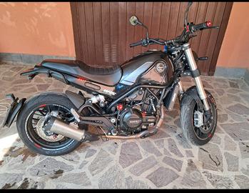 Benelli Leoncino 500 2022