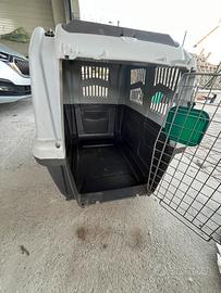 Kennel