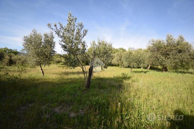 TER. AGRICOLO A FRASSO TELESINO