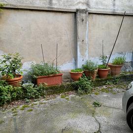 vasi per piante da giardino