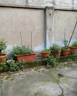 vasi per piante da giardino